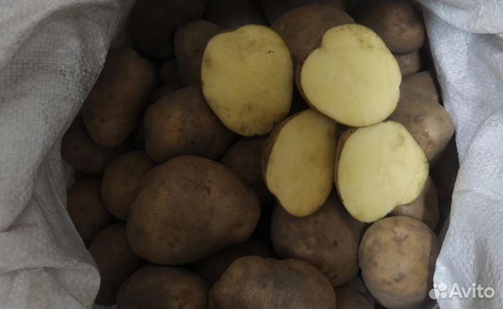Продам картофель