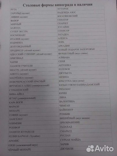 Черенки и Саженцы винограда