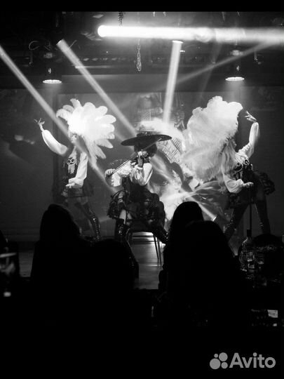 Скрипачка / Скрипка / Живая музыка