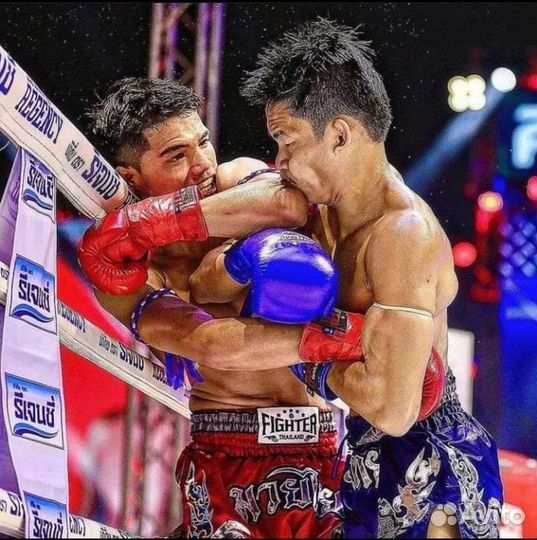 Тайский-бокс, Кикбоксинг, Мма