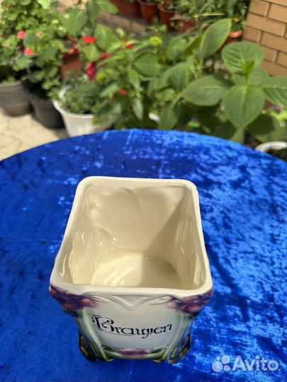 Доза.Майолика