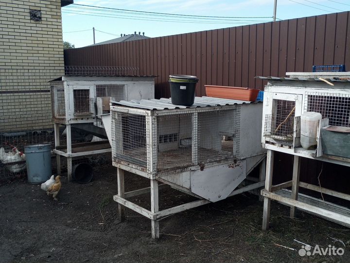Клетка для кролика