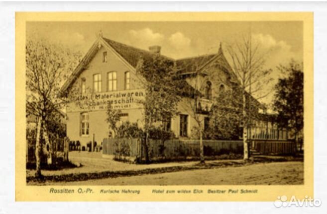 Эксклюзив Куршская коса Экскурсия+Отдых