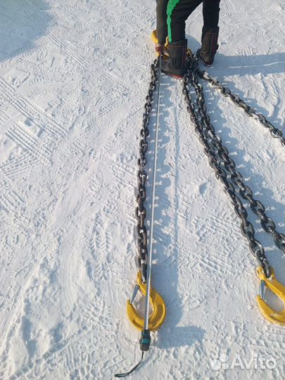 Паук цепной 40