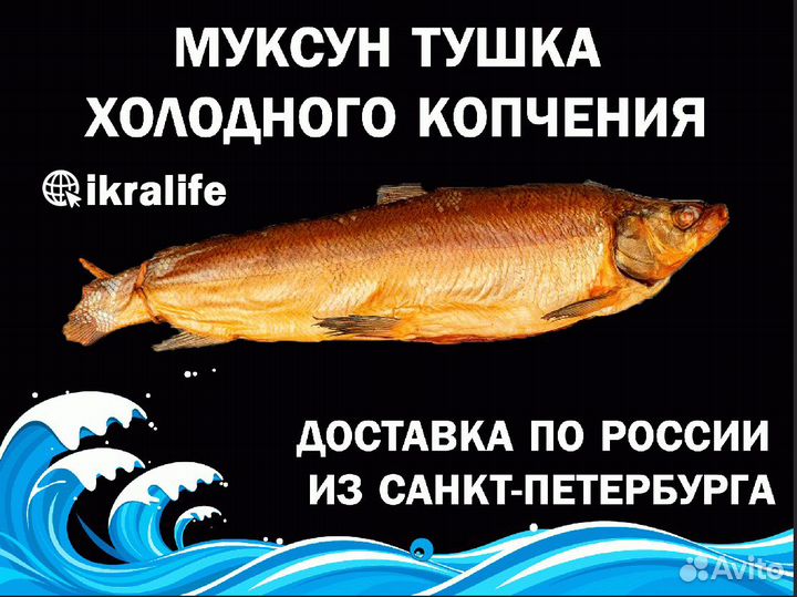 Муксун тушка холодного копчения. Доставка сдэк