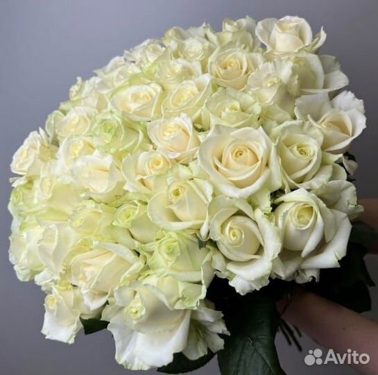 Розы Доставка