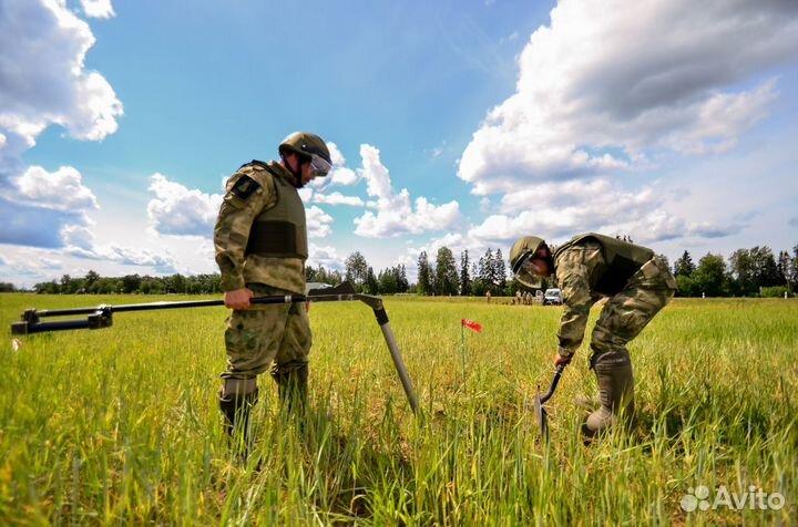 Гуманитарное разминирование (очистка местности)