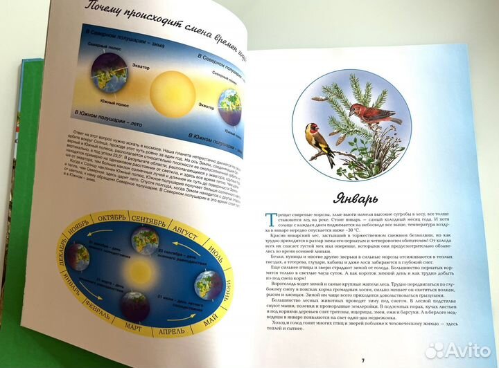 Детская энциклопедия Времена года, Махаон, новая