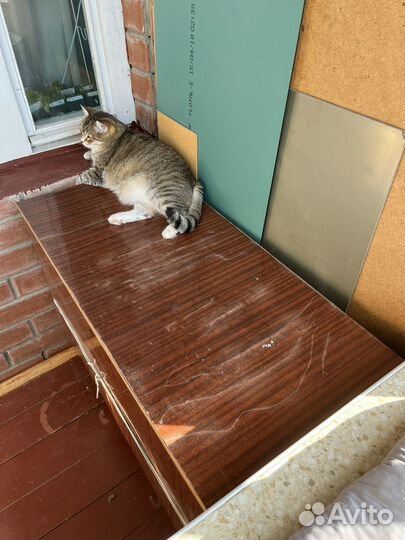 Тумба (шкаф)