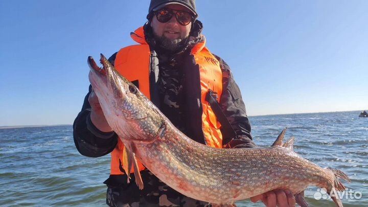 Рыбалка с гидом для начинающих