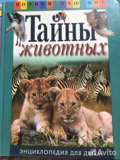Книги/сказки/энцикл. для детей за все цена