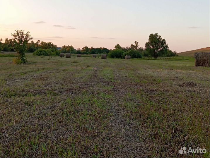 Сено луговое