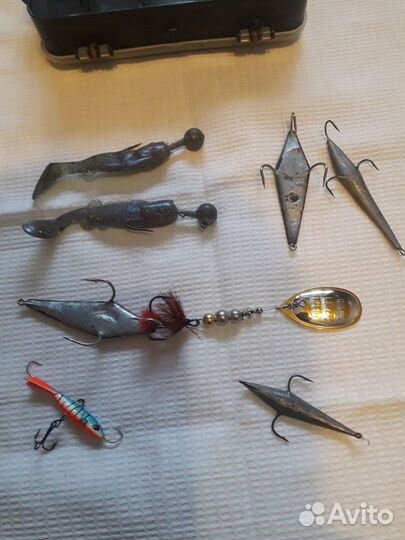 Охота и рыбалка