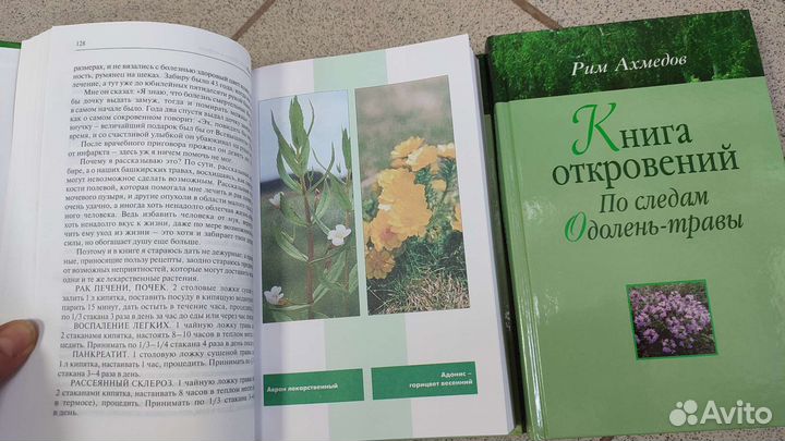 Рим Ахмедов 