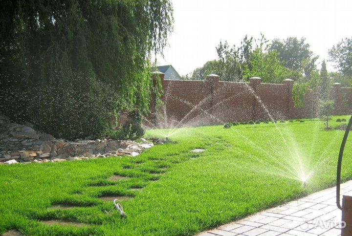 Рулонный газон. Укладка + Автополив