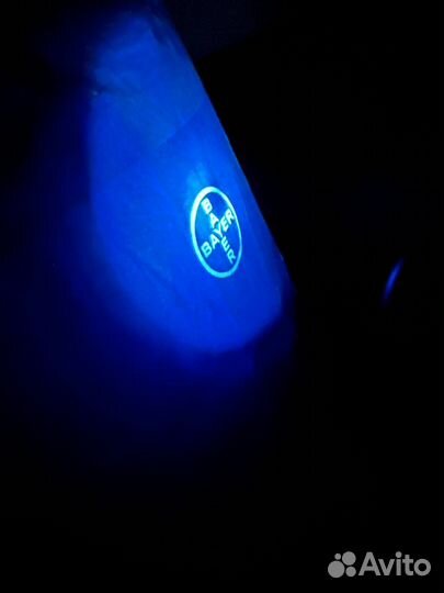 Семена кукурузы