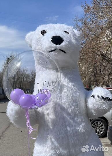 Аниматор, поздравление мишка тедди, зайка, аист