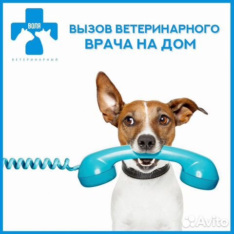 1.dS5cura42cdqExvCOuN4AVEb28HiG1vPKh7bxewT0c3q.fVvS_eFx6yO3otZwoIdXcHrZjEDPerDVRccNWX5YhEI
