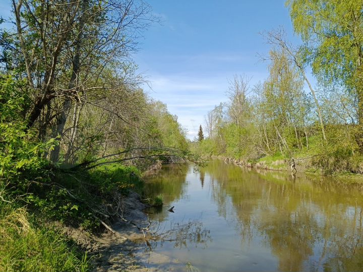 Участок 11 сот. (СНТ, ДНП)