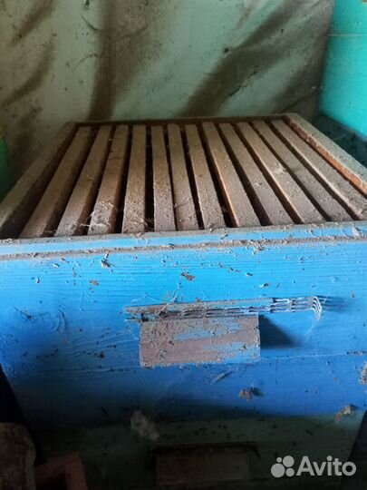 Ульи 12 рамочные,рамки,сушь