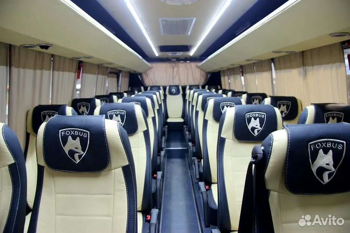 Пассажирские перевозки автобус