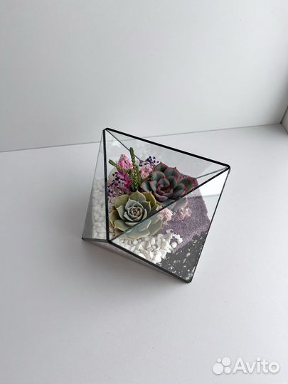 Флорариум с суккулентами