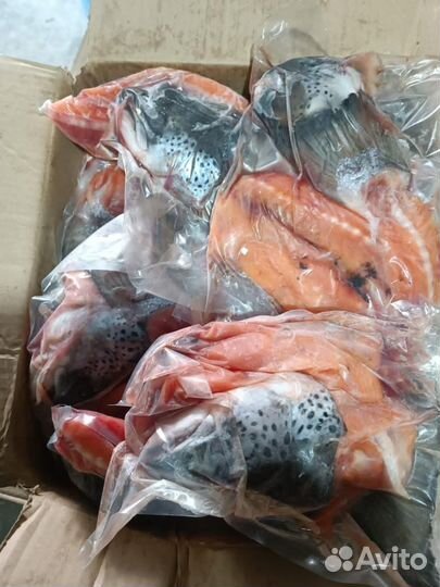 Суповой набор из Семги (уха)