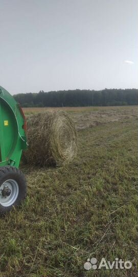 Сено в рулонах