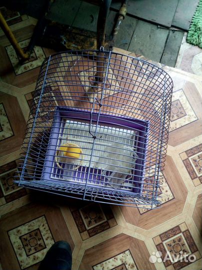 Клетка для волнистого попугая