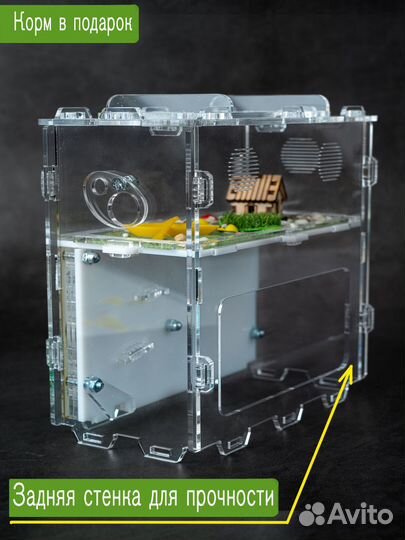 Муравьиная ферма вертикальная Формикарий с гипсом