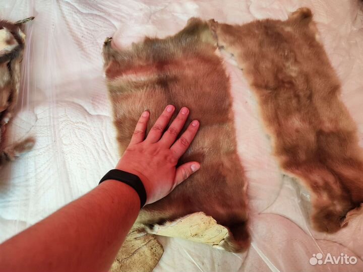 Мех норки шкурки