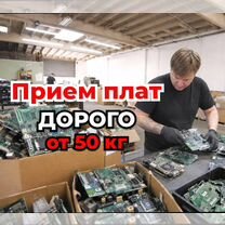 Прием материнских плат и процессоров, Шатура