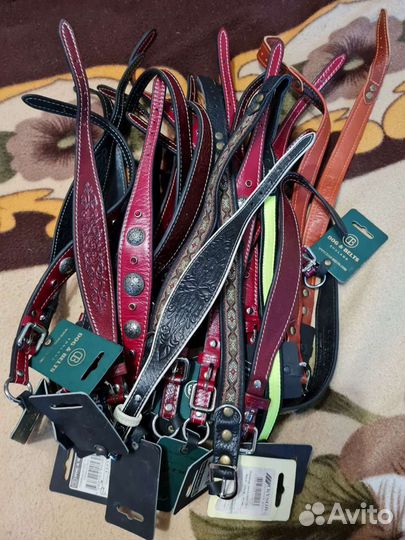 Ошейник для собак