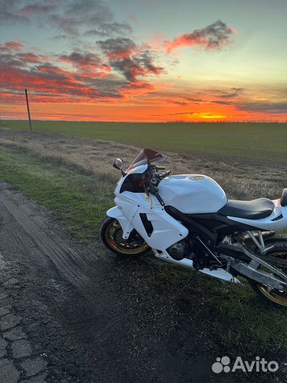 Honda cbr600rr