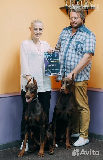 Услуги хендлера