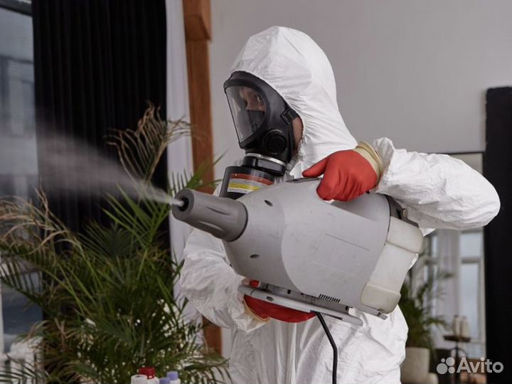 Уничтожение клещей, кротов, ос, тараканов, клопов