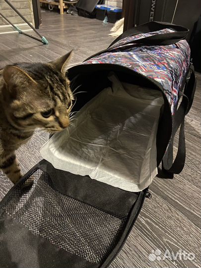 Переноска для кошек