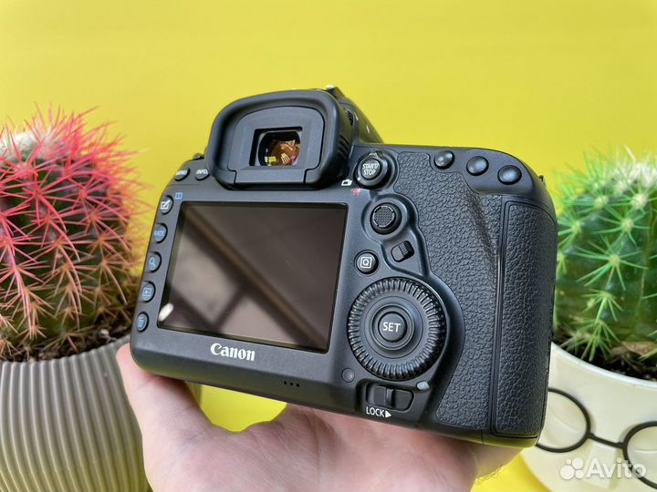 Canon EOS 5D Mark IV