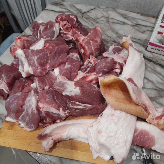 Свежее Мясо свинина