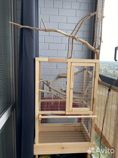 Клетка для корелл