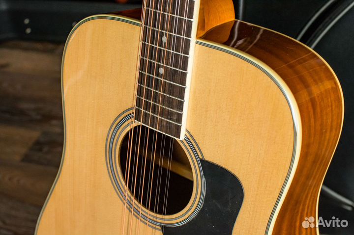 12-струнная акустическая гитара Homage + Аксессуар