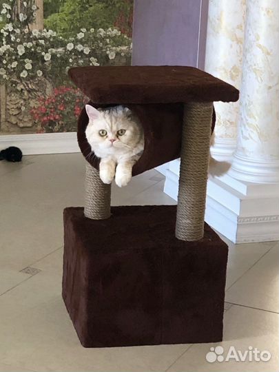 Домик когтеточка