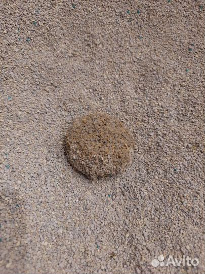 Наполнитель для кошачьего туалета