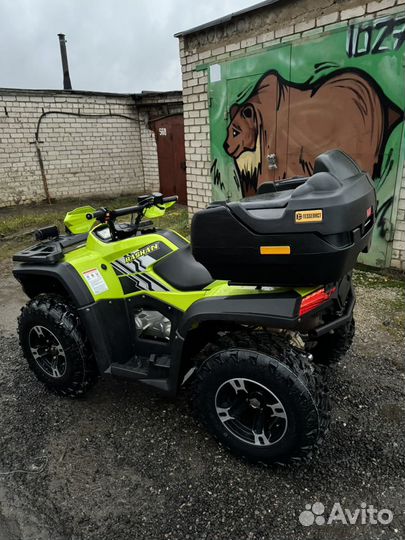 Bashan explorer 300