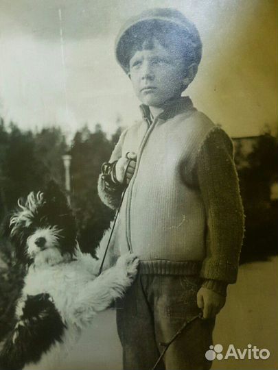 Фотокартина мальчик с собакой., 1920г. 45 -60см