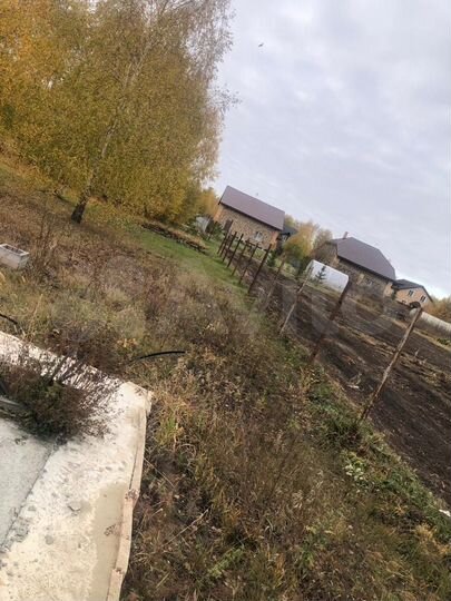 Участок 12,5 сот. (СНТ, ДНП)