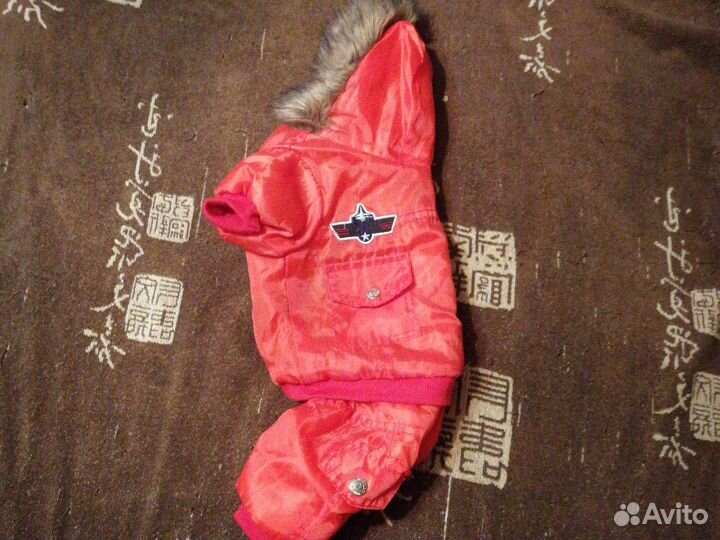 Одежда для маленьких собак