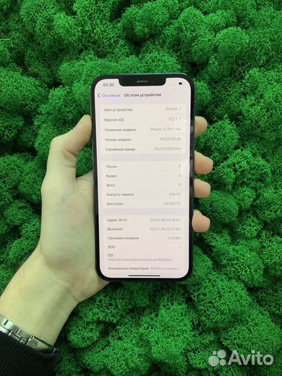 iPhone 12 Pro Max, 256 ГБ