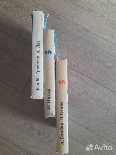 XX Век Путешествия Открытия Исследования