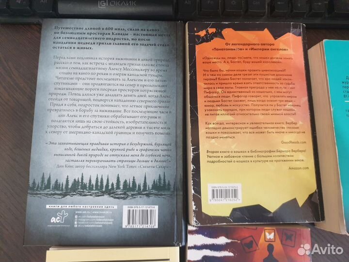 Книги художественная литература